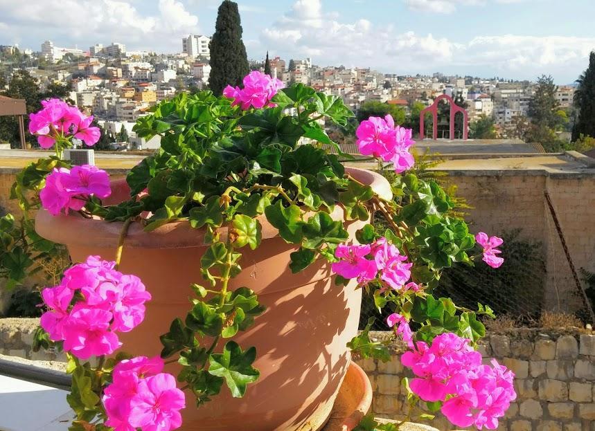 Rosana Guest House Nazareth Exterior photo